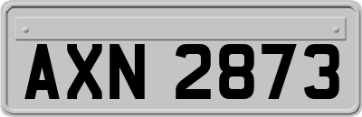 AXN2873