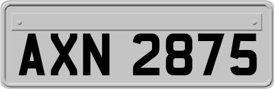 AXN2875