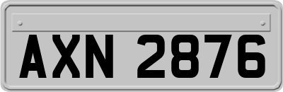 AXN2876