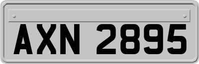 AXN2895
