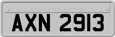 AXN2913