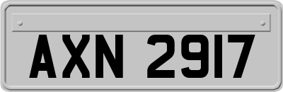 AXN2917