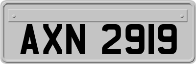AXN2919