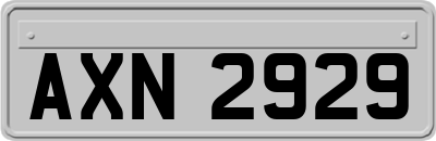 AXN2929
