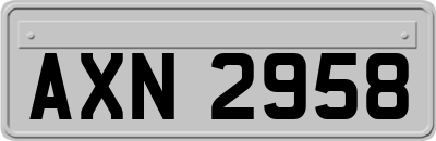 AXN2958