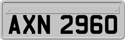 AXN2960