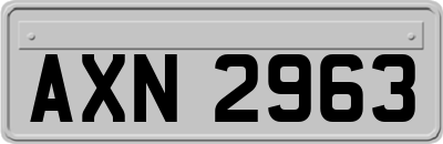 AXN2963