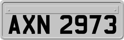 AXN2973