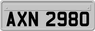 AXN2980