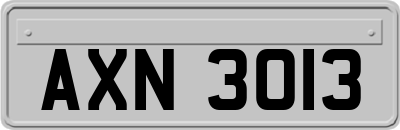 AXN3013