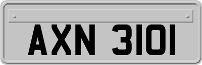 AXN3101