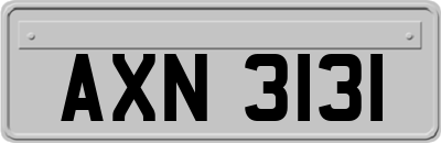 AXN3131