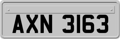 AXN3163