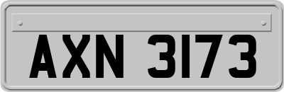 AXN3173