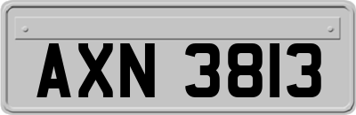 AXN3813