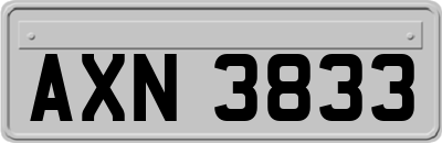 AXN3833