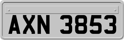 AXN3853