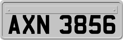 AXN3856