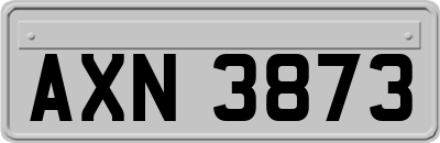 AXN3873