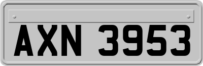 AXN3953