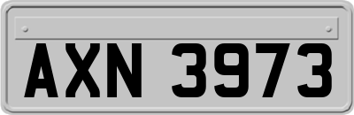 AXN3973