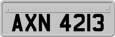 AXN4213