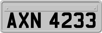 AXN4233