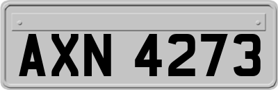 AXN4273