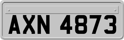 AXN4873