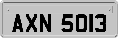AXN5013