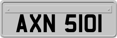 AXN5101