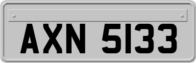 AXN5133