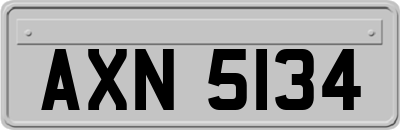 AXN5134