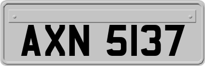 AXN5137