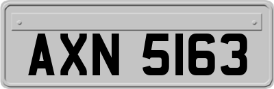 AXN5163