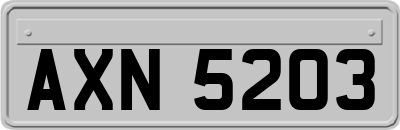 AXN5203