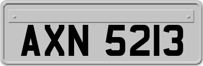 AXN5213
