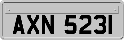 AXN5231