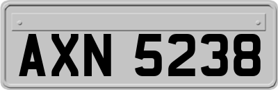 AXN5238