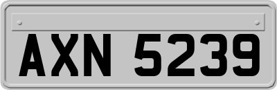 AXN5239