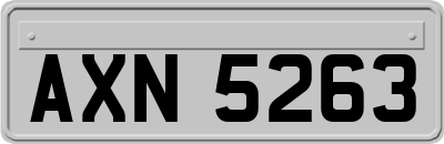 AXN5263