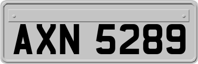 AXN5289