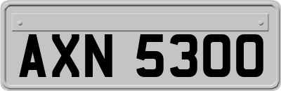 AXN5300