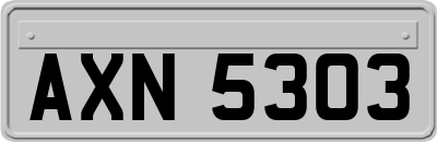 AXN5303