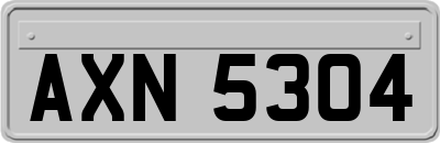 AXN5304