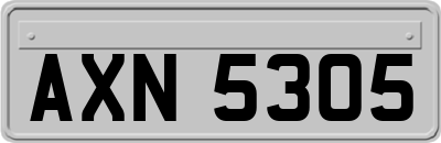 AXN5305