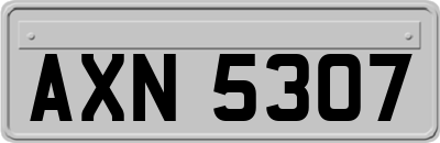 AXN5307