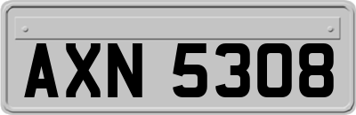 AXN5308