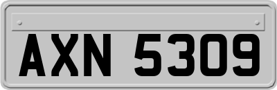 AXN5309