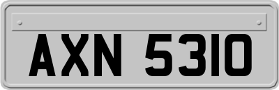 AXN5310